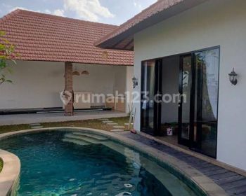 Brand new villa for lease in babakan canggu