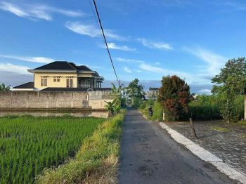 Tanah Murah Sleman Utara Jl. Damai Jogja, View Sawah Asri