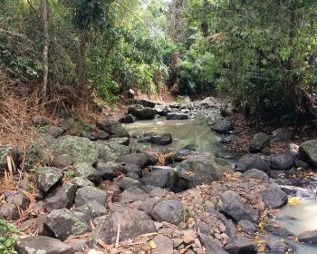 Tanah dekat pantai view sungai dan gunung 50 menit ke Canggu Bali