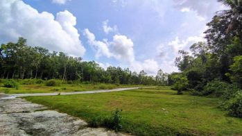 Tanah Murah Di Panjatan Kulonprogo Siap Ajb Harga 1jt An