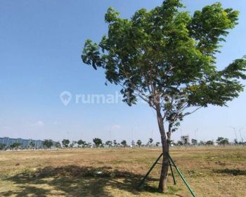 Best Deal, Kavling Wall Street Pik 2 Luas 1200m2 Posisi Bagus