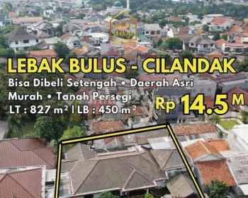Rumah Siap Huni, Lingkungan Asri, Tanah Persegi, Cilandak. Bisa Dibeli Setengah