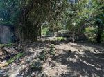 thumbnail-freehold-rare-residential-zoned-1375-sqm-land-with-jineng-house-by-the-river-in-3