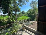 thumbnail-freehold-rare-residential-zoned-1375-sqm-land-with-jineng-house-by-the-river-in-5