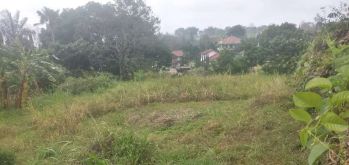 Kavling Villa Bukit Trawas Garden View & Lokasi bgs