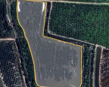 Jual Tanah 5,5 Hektar