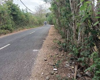 Tanah Zona Pariwisata (Pink) di Belimbing Sari Ungasan Bali