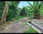 thumbnail-tanah-murah-di-jogja-lokasi-di-berbah-dekat-pabrik-rokok-sampurna-3