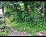 thumbnail-tanah-murah-di-jogja-lokasi-di-berbah-dekat-pabrik-rokok-sampurna-5