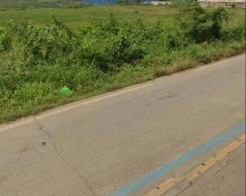 Dijual tanah sawah dipinggir jalan Raya Cikande - Rangkasbitung - Bant