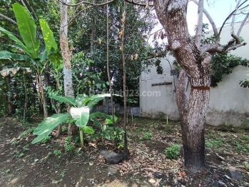 Tanah Pekarangan Termurah di Maguwoharjo 3,2 Juta Per Meter