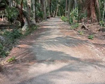 JUAL TANAH KULONPROGO DI NGESTIHARJO WATES