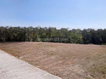 7 Menit Kampus Mercubuana Jogja Tanah Standar Perumahan