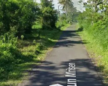 Disewakan tanah bagus Deket resto badai khas Bali