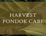 thumbnail-sell-rumah-harvest-pondok-cabe-0