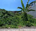 thumbnail-premium-residential-land-berawa-canggu-badung-bali-2