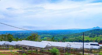 TANAH MURAH DI BOGOR BERLEGALITAS AMAN DAN LENGKAP