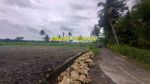 thumbnail-pekarangan-view-sawah-di-tawangsari-pengasih-dekat-yia-1