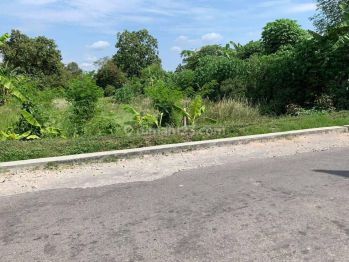 Dekat Upn Babarsari, Rekomendasi Bisnis Kos