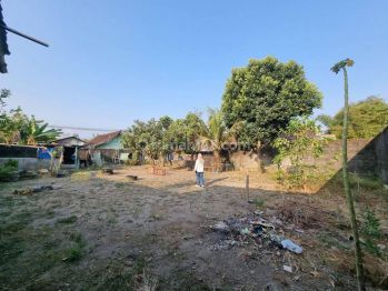 Utara Sma Negeri 2 Jogja, Ideal Hunian Dan Kost, SHM