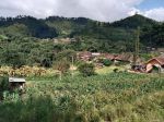 thumbnail-tanah-bumiaji-batu-desa-gunungsari-jual-murah-cpt-bu-view-pegunungan-1