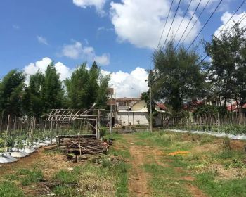 Jual Tanah Graha Dewata Malang