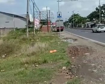 Tanah 8563 m2 Di Pinggir Jalan Pantura Dekat Patimban Subang