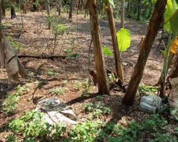 Sell Tanah: Di jual gan tanah Hm