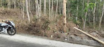 Tanah Pekarangan Barat SMA Karangpandan