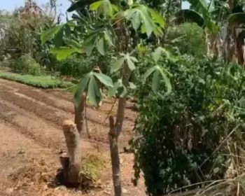 Luas tanah : 149 m2 ( seratus empat puluh sembilan meter persegi)