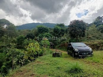 Tanah Di Jual Cijeruk Bogor Tajurhalang Shm