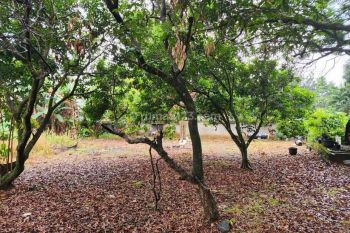 Tanah Strategis Dekat Mall Cinere, Siap Balik Nama