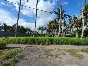 Dijual tanah murah ubud lodtunduh gianyar bali harga nego