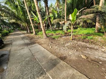 DI JUAL TANAH STRATEGIS DI BOJONG PANJATAN KP