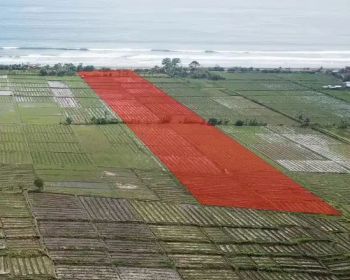 Tanah Los Pantai di Yeh Embang Jembrana - Bali
