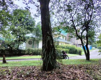 Dijual kavling sertifikat cluster bukit golf hijau Sentul city