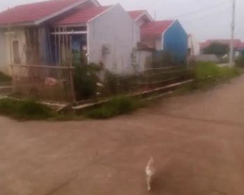 Di over kredit rumah supsidi udah jalan 2 tahun lebih