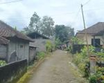 thumbnail-di-jual-tanah-shm-pekarangan-1