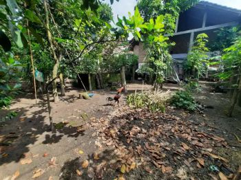 Sell Tanah: dijual tanah 169 m2