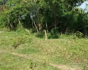 Dijual cepat lahan ex tambak