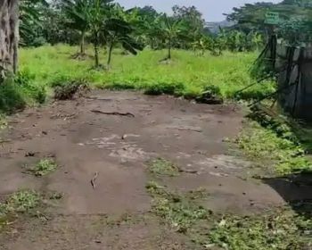 DIJUAL TANAH RAYA PAJAJARAN BOGOR