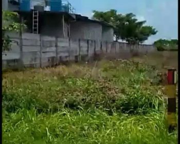 Dijual tanah industri di tuban cocok untuk pabrik
