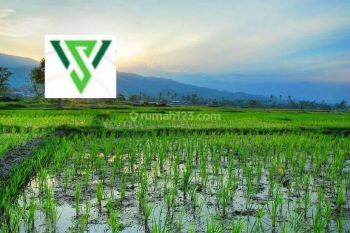 Tanah kavling murah 25jt/m Pakuwon indah graha Family