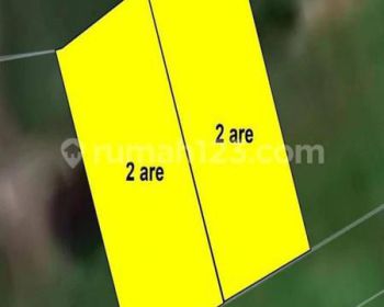 Di Jual Tanah 2 Are Di Pantai Seseh, Cemagi SHM - Sertifikat Hak Milik