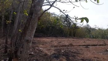 Sell Tanah: Dijual Tanah Murah