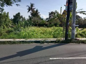 Di Jual Tanah murah di timur Resto pringsewu