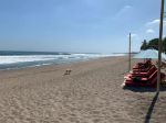 thumbnail-rp-888-m-1-beachfront-canggu-land-pantai-berawa-mr-hand-2