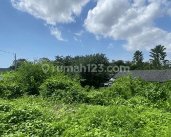 Land Leasehold Rent Umalas Bumbak