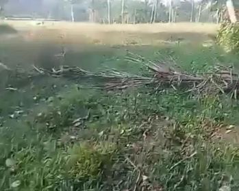 Sawah 2100 m2 Ciater Subang Lg