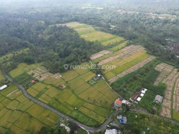 Di Jual Tanah Komersial Los Tebing Sungai, di Jln Payangan Ubud, Bali.